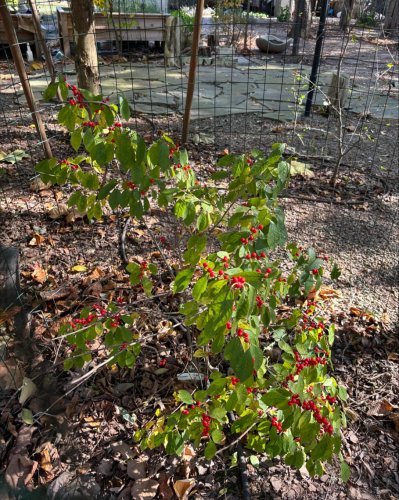 Photo post from mireade2025.