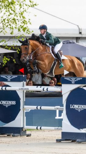 Video post from fei_global.