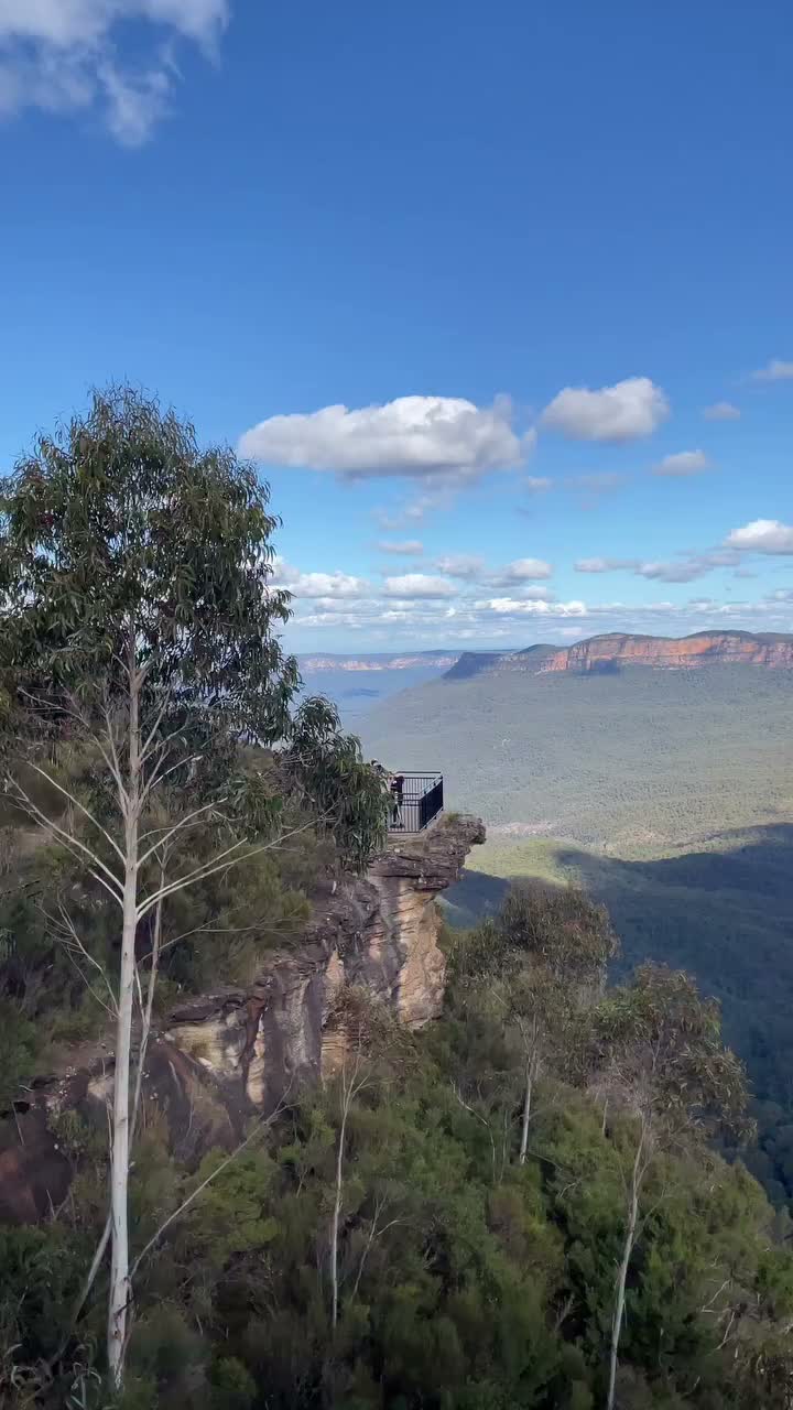 Video post from hayleyangell.