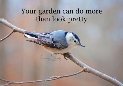 Photo post from mistyyoungphoto.