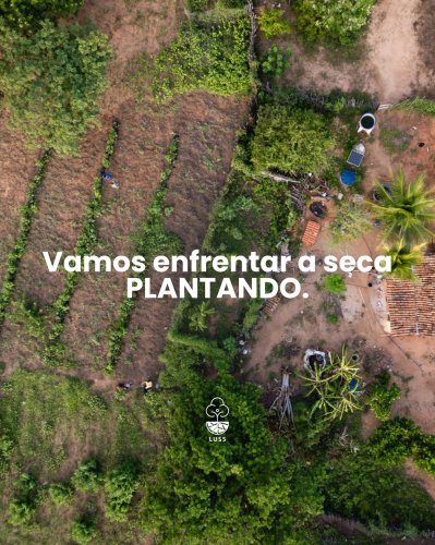 Photo post from institutoluss.