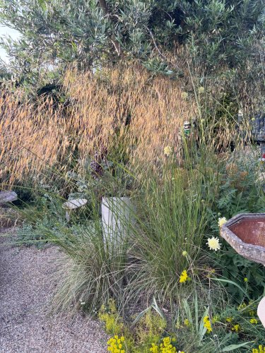 Photo post from gardenhousebrighton.