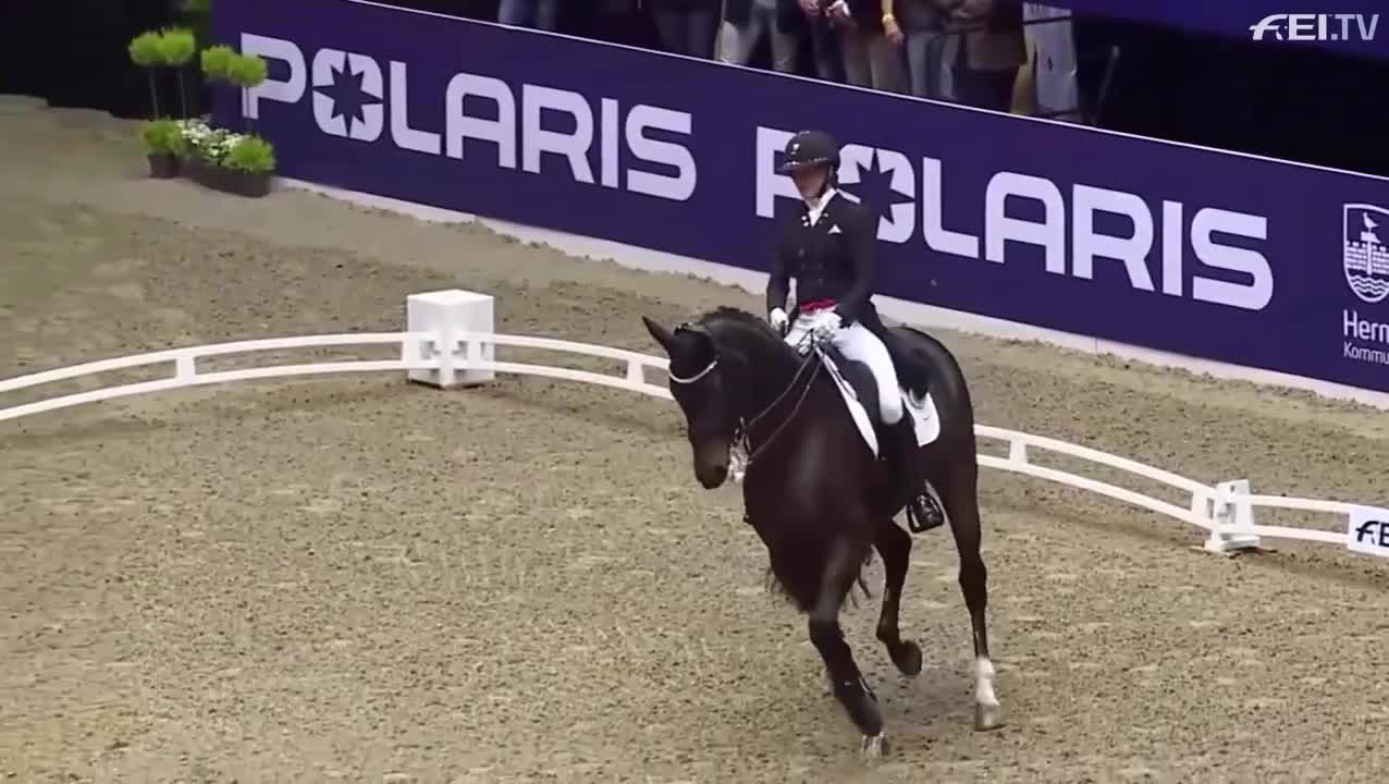 Video post from fei_global.