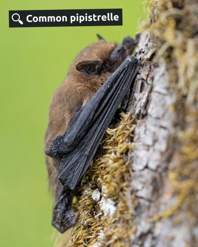 Photo post from forest_of_dean_fe.