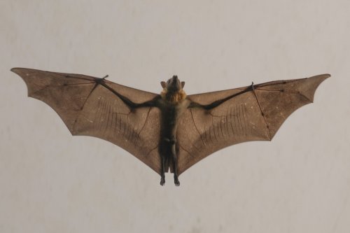 Carousel post from zoonewengland.