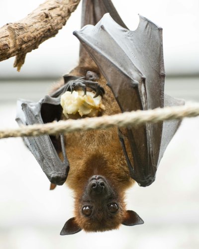 Photo post from ballingercommons.