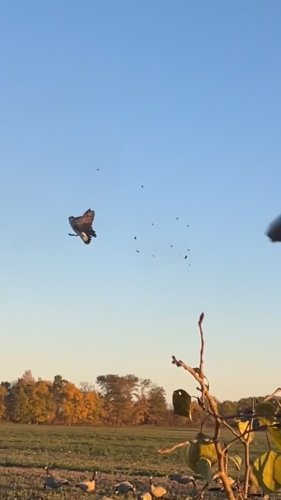 Video post from northernskiesoutfitters.