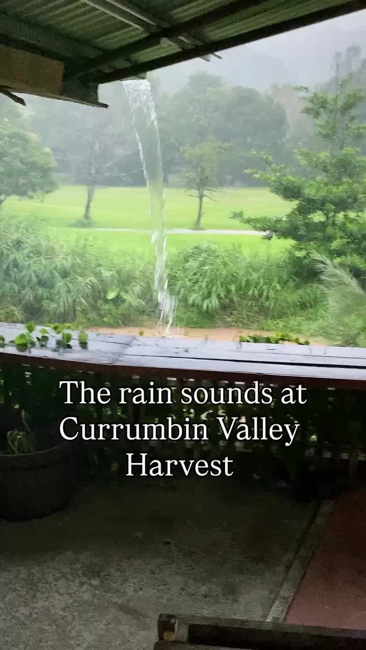 Video post from currumbinvalleyharvest.