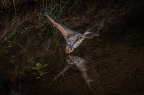 Carousel post from westernnationalparks.