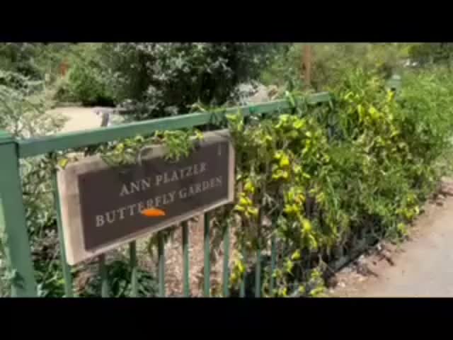 Video post from ucrbotanicgardens.