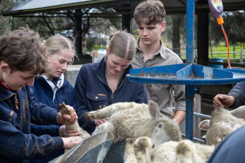 Carousel post from trinitycollegecolac.