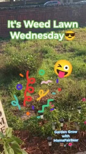 Video post from mamafairbear.