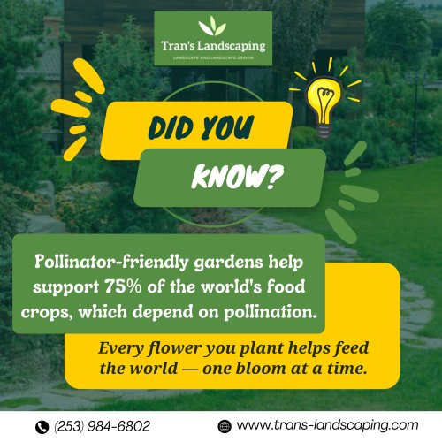 Photo post from trans.landscaping.