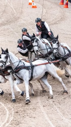 Video post from fei_global.