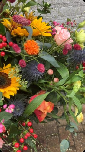 Video post from dellemannbloemen.