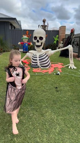 Video post from k9playtimedoggydaycare.