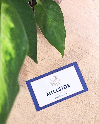 Photo post from millsideatheritagepark.