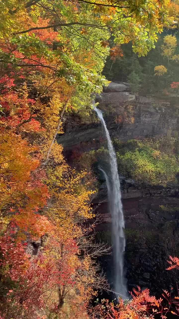 Video post from beyondvisioncenter.