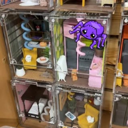 Video post from njexoticpets.