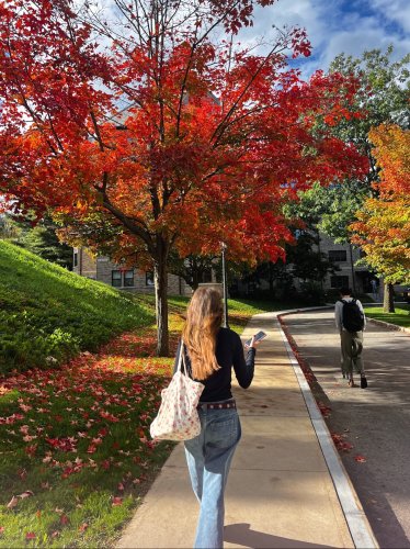 Photo post from bostoncollege.