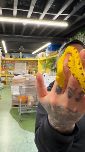 Video post from njexoticpets.
