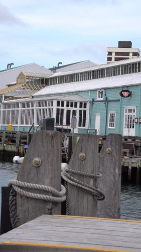 Video post from nzgreenparty.