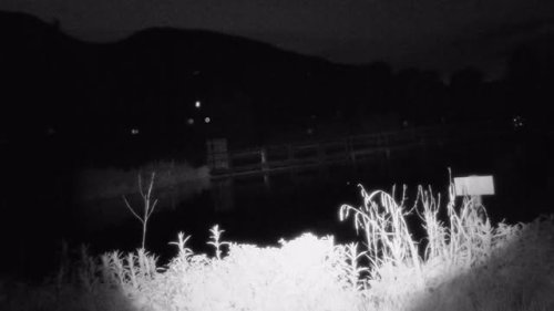 Video post from yorkshiredales.