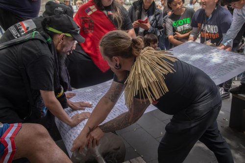 Carousel post from nzgreenparty.