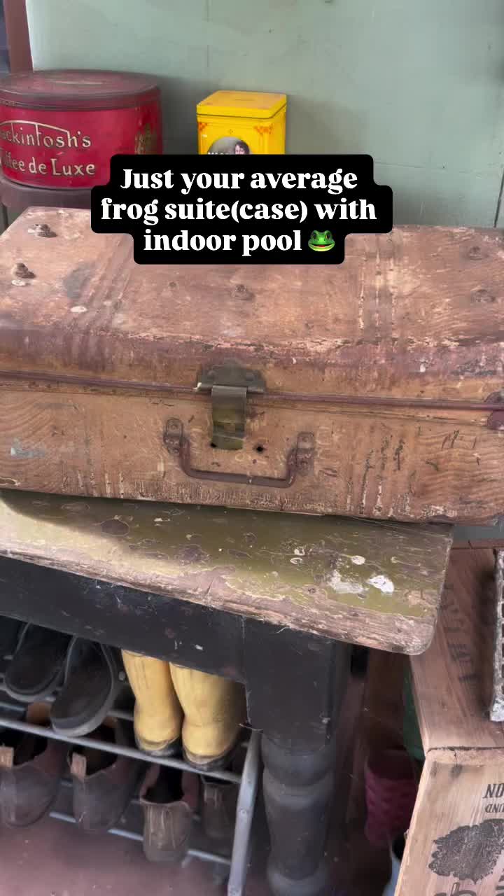 Video post from hello.rosella.