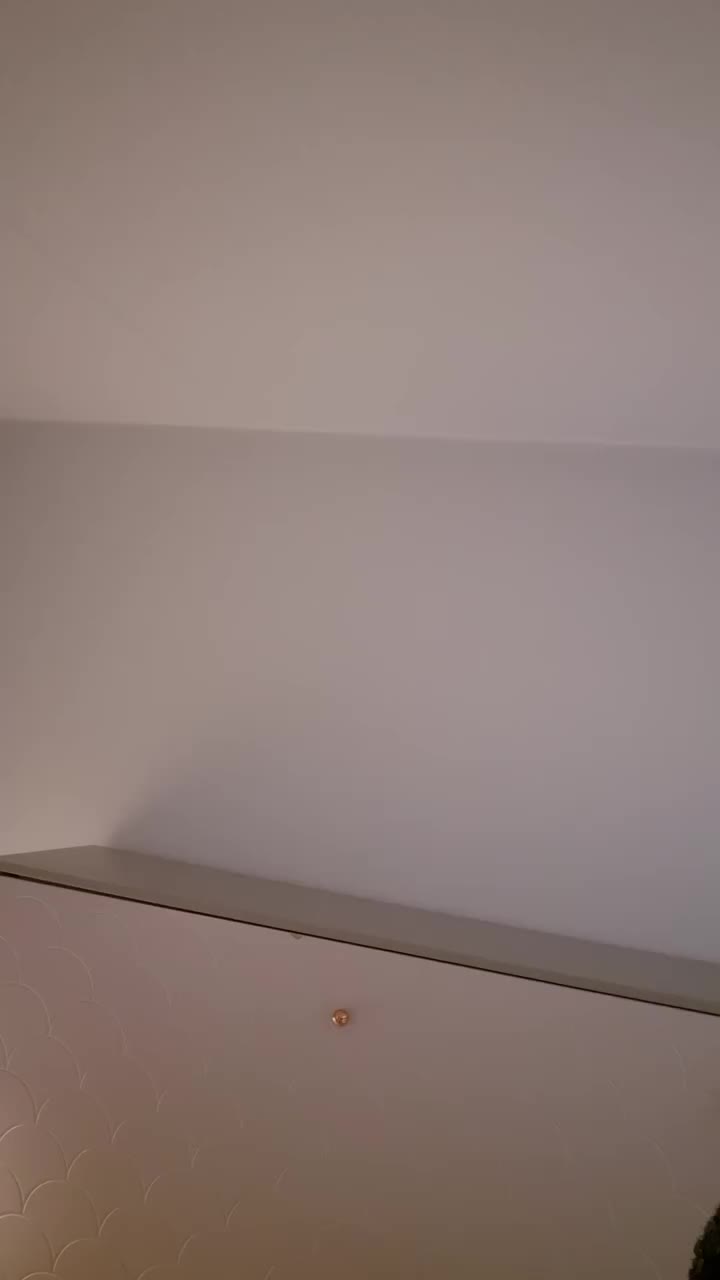 Video post from davidcarbe.