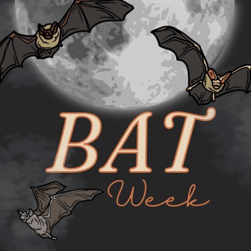 Photo post from xenacomics.