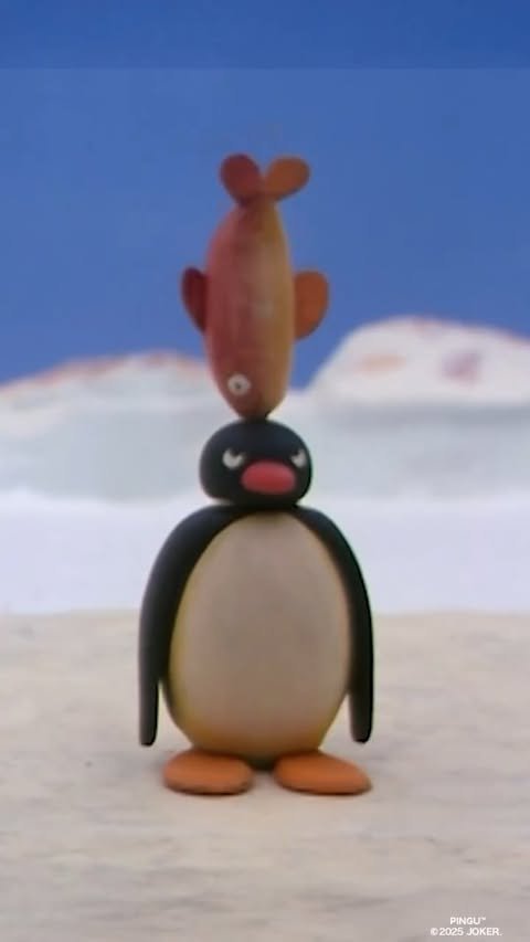 Video post from pingu_jp.