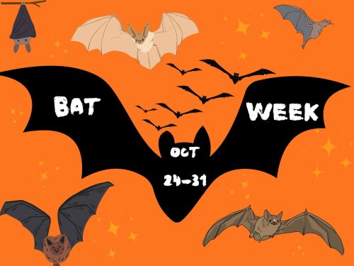 Photo post from phillyaazk.