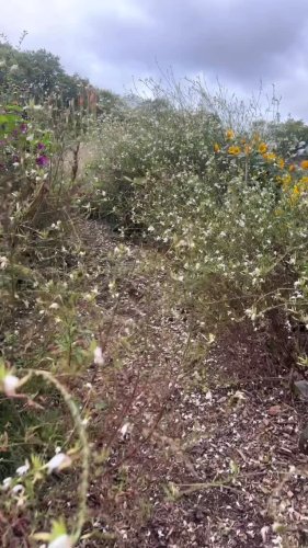Video post from sussexprairies.