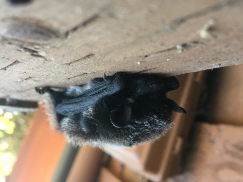 Photo post from thewdfw.