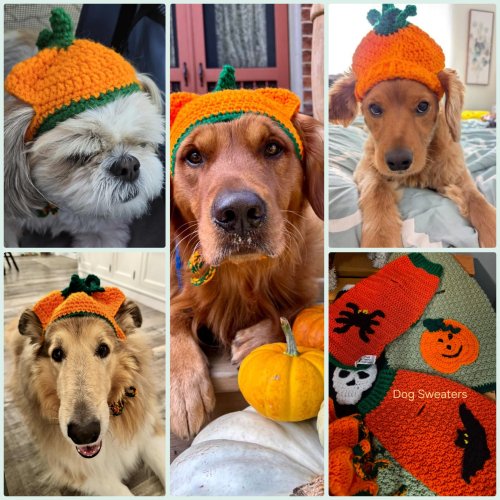 Photo post from niftygiftynorfolk.