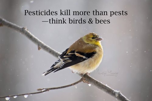 Photo post from mistyyoungphoto.