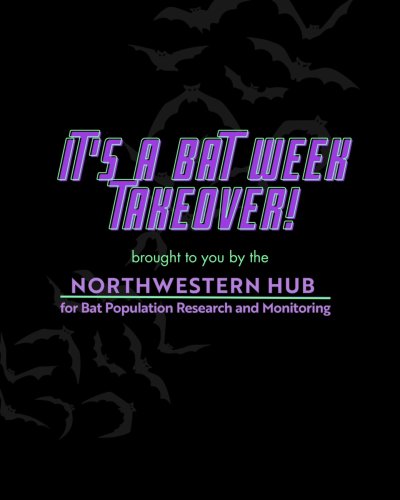 Carousel post from nwbathub.