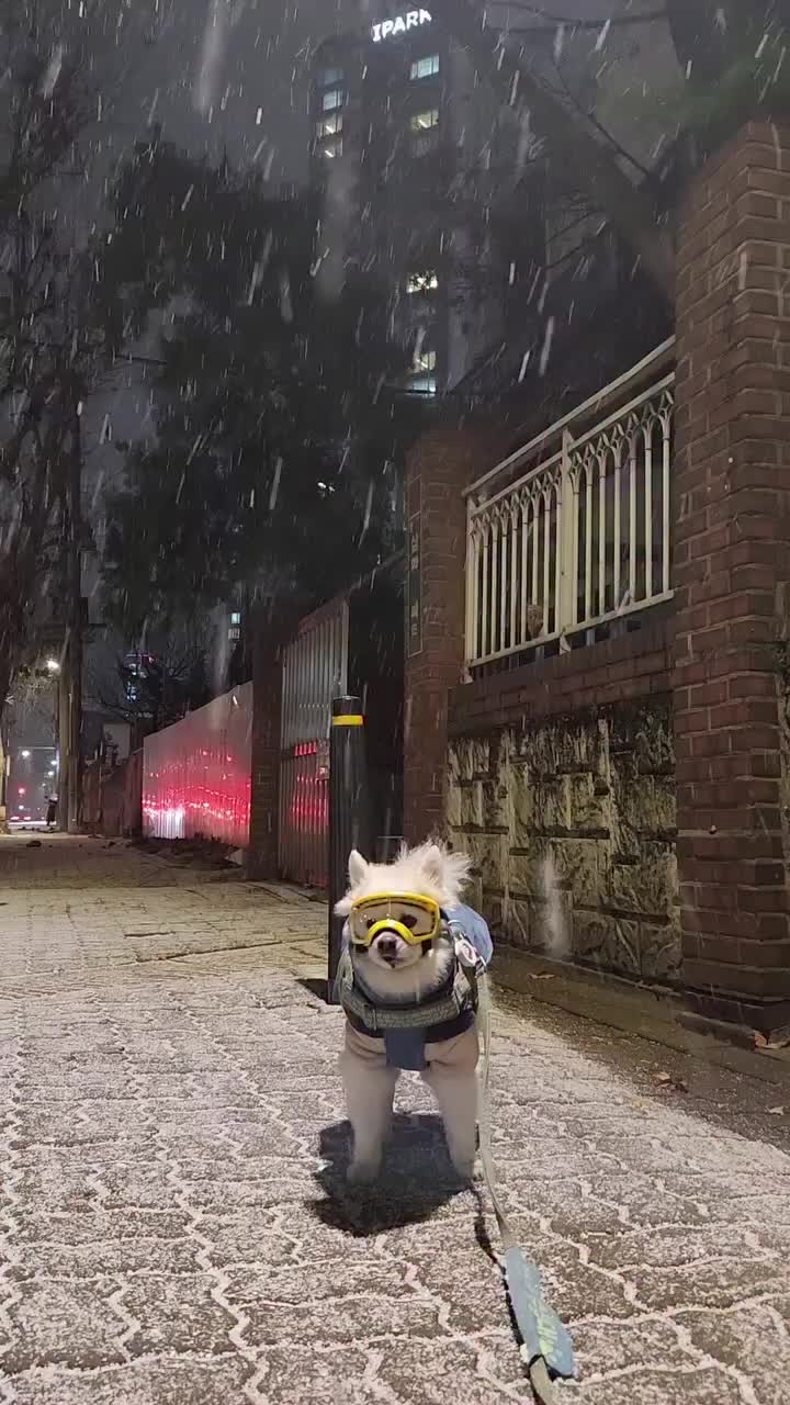 Video post from hurttakorea.