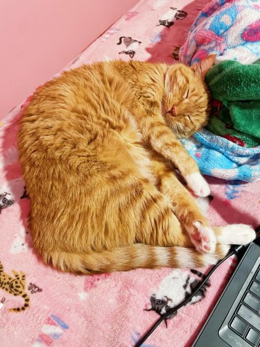 Carousel post from margaritabloom.