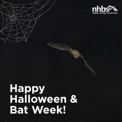 Photo post from nhbsnews.