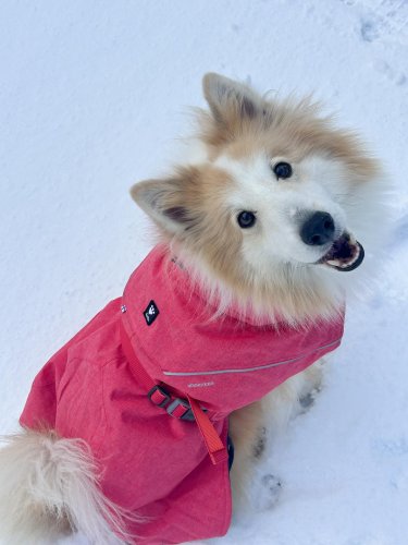 Carousel post from haeruphoria.