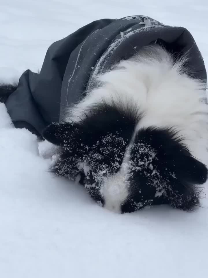 Carousel post from hurttakorea.