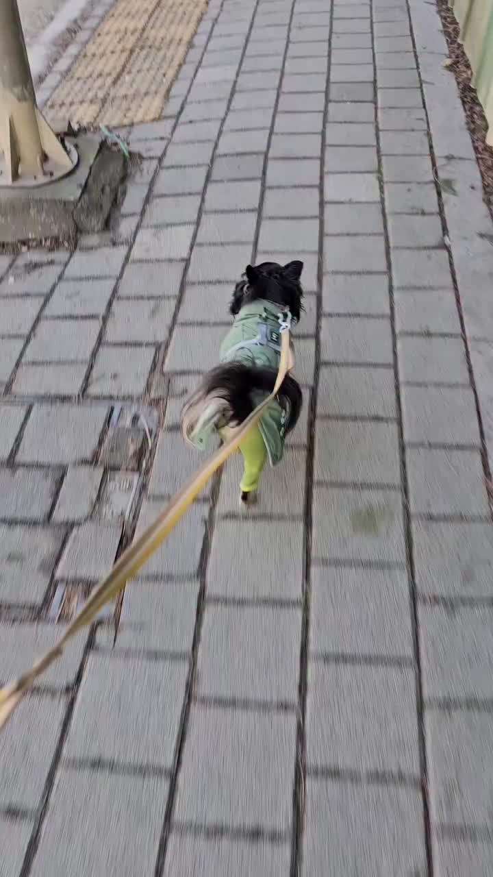 Video post from aprilchanel12.