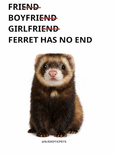 Photo post from njexoticpets.