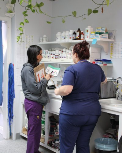 Carousel post from familyanimalhospitalcm.