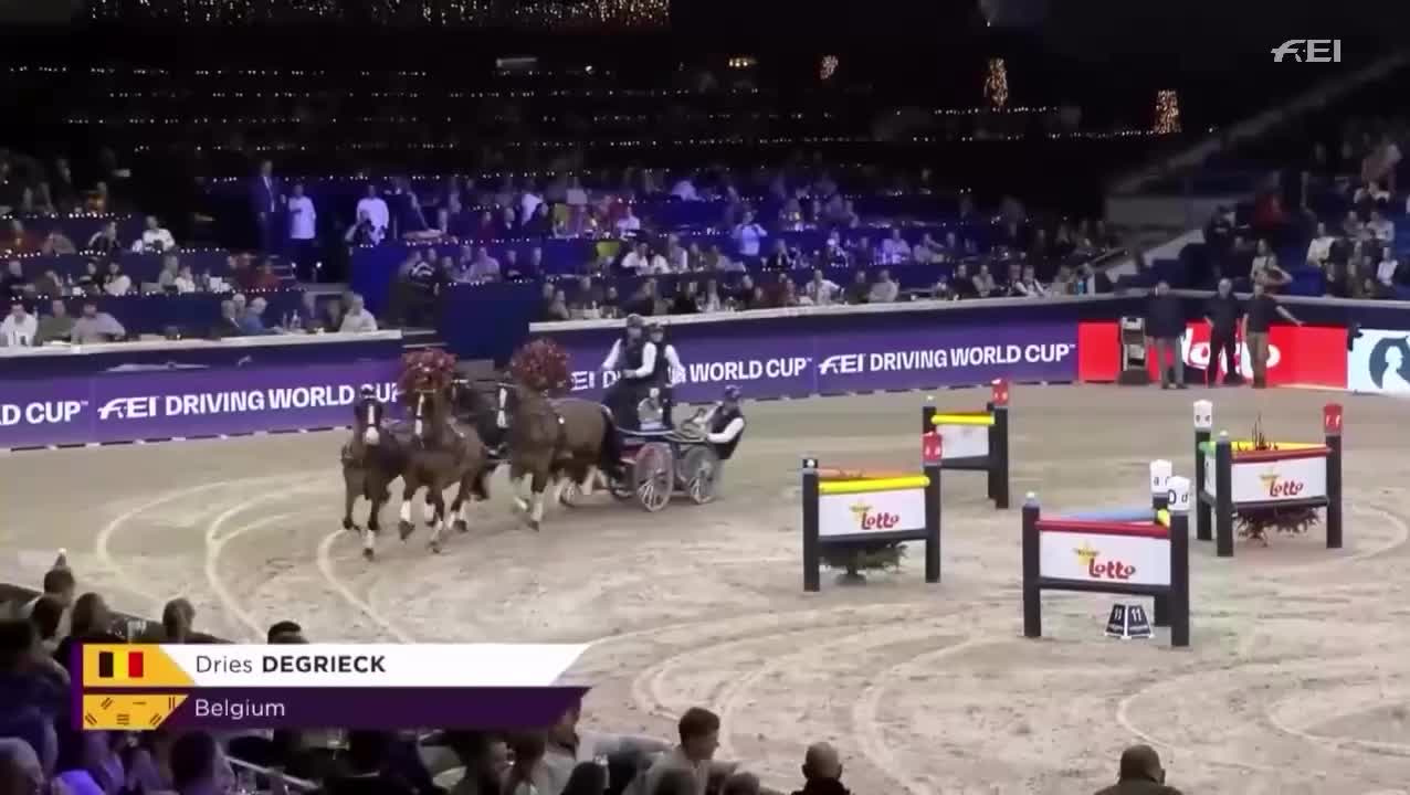 Video post from fei_global.