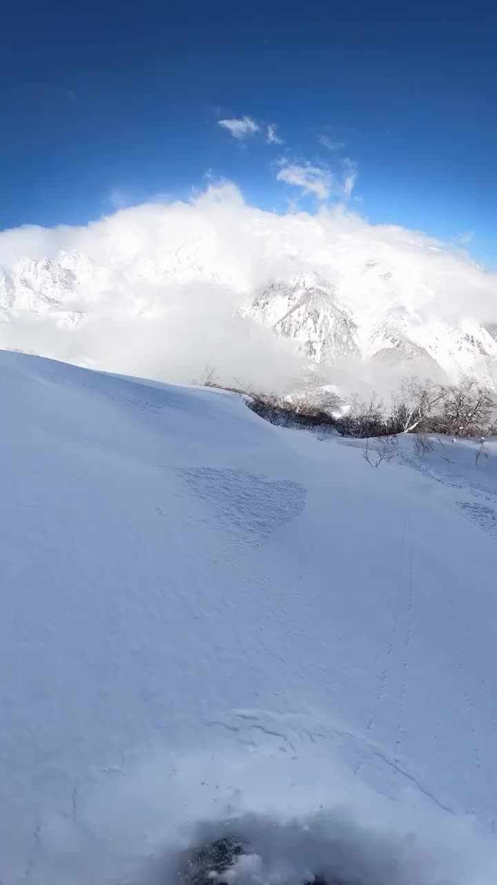 Video post from libtechski.