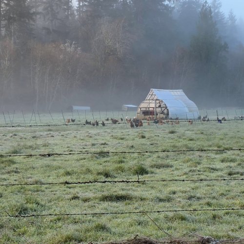 Photo post from hungryhollowfarm.