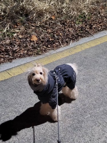 Carousel post from bon_bon_718.